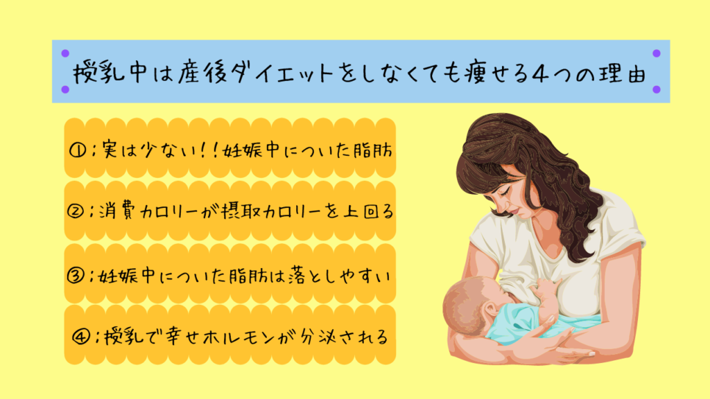 授乳中に産後ダイエット 痩せる理由４つ 注意点５つ ここち ブログ