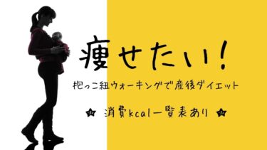 体重減少が止まった産後13カ月 記録 ワーママきらり Sライフハック