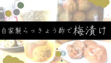 【長期保存】自家製らっきょう酢で梅漬けの作り方/レシピ