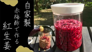 【初心者でも簡単】赤梅酢で自家製紅生姜の作り方/レシピ