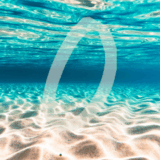 ゼロって、本当にゼロ？──時間・お金・命を考える